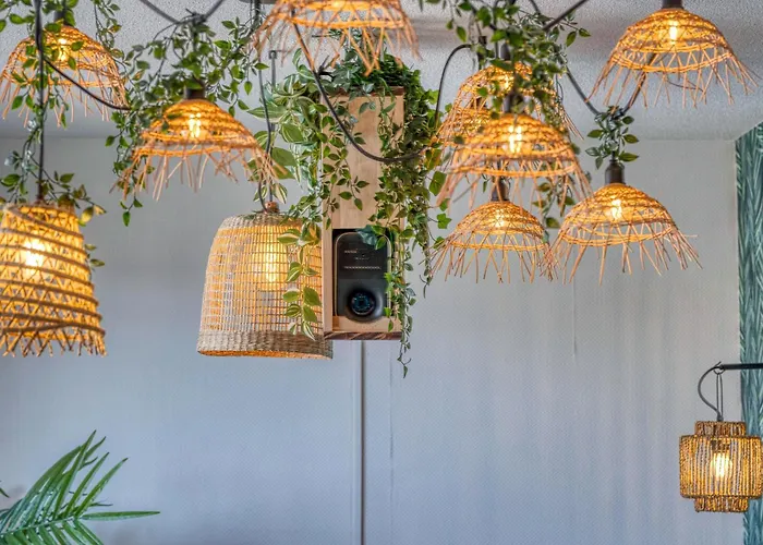 Le Jungle - Rocade - Grand Place